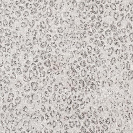 Surya Contempo CPO-3852 2' x 2'11" Rug