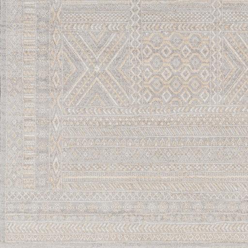 Surya Contempo CPO-3855 2' x 2'11" Rug