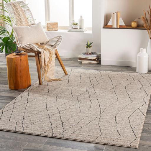 Surya Cozy CZY-2300 2'7" x 7'3" Rug