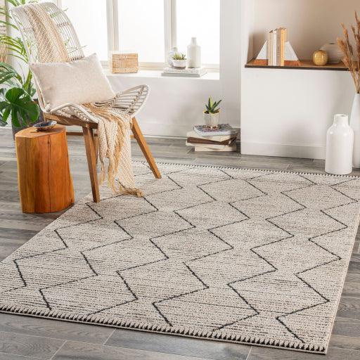 Surya Cozy CZY-2302 2'7" x 7'3" Rug