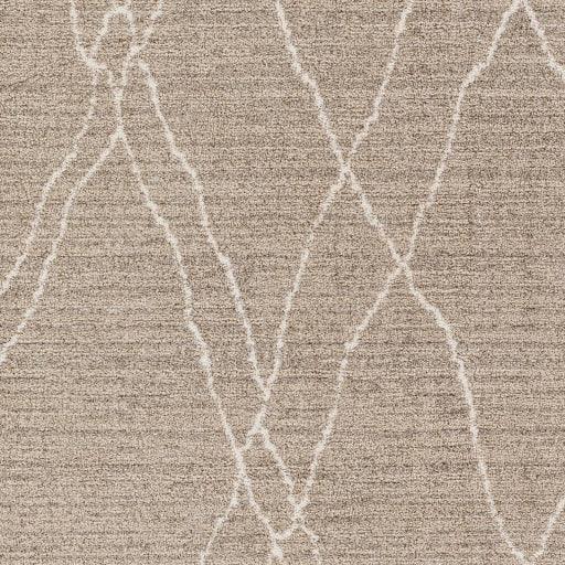 Surya Cozy CZY-2303 2'7" x 7'3" Rug