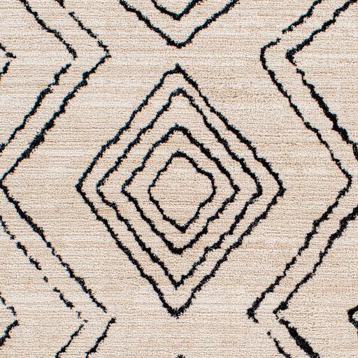 Surya Cozy CZY-2304 2'7" x 7'3" Rug