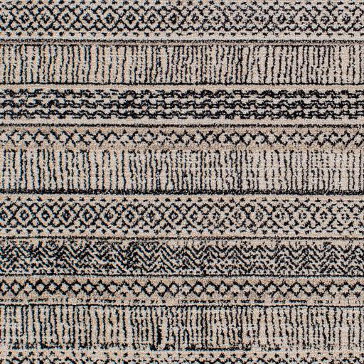 Surya Cozy CZY-2305 2'7" x 7'3" Rug
