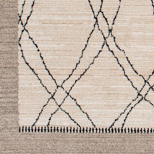 Surya Cozy CZY-2306 2'7" x 7'3" Rug