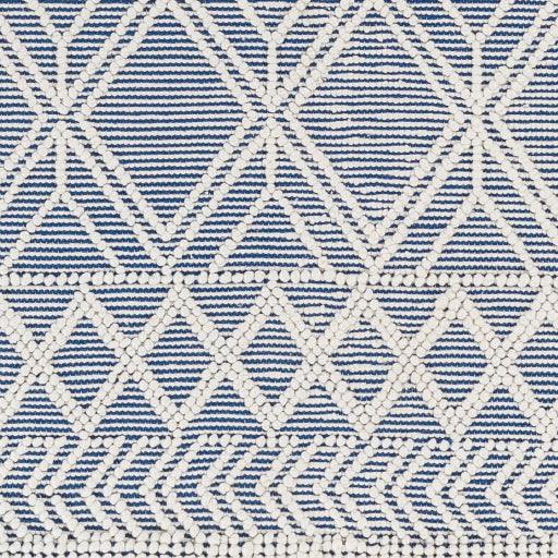 Surya Daffodil DFF-2302 27" x 45" Rug