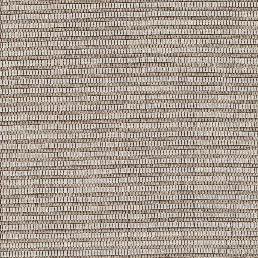 Surya Daniel DNL-3002 2' x 3' Rug