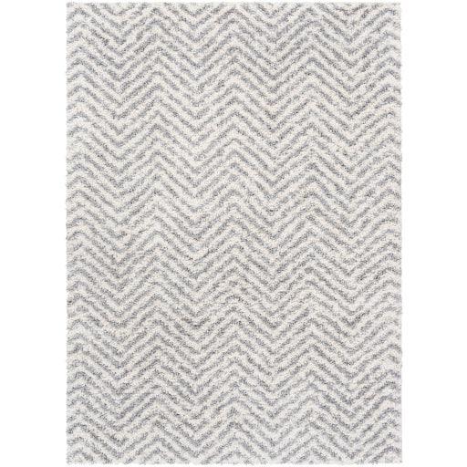 Surya Deluxe Shag DXS-2307 5'3" x 7'3" Rug