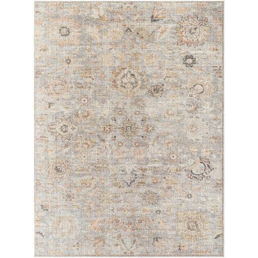 Surya Downtown DTW-2327 2'8" x 7'3" Rug