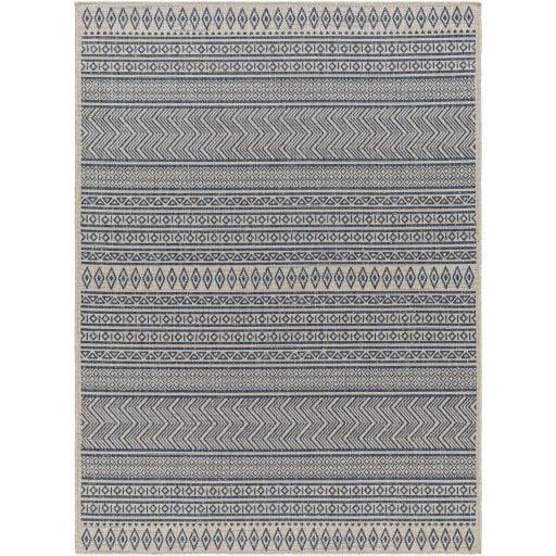 Surya Eagean EAG-2428 2'7" x 10' Rug