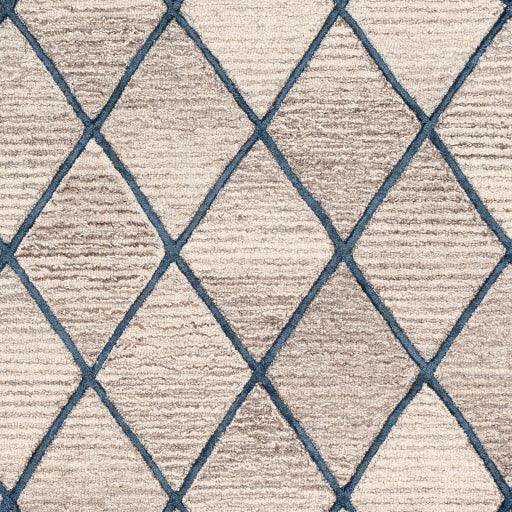 Surya Eaton EAT-2301 2' x 3' Rug