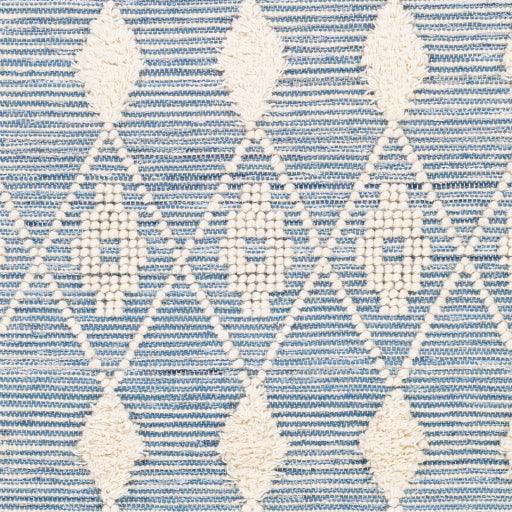 Surya Handira HNR-2301 2' x 3' Rug