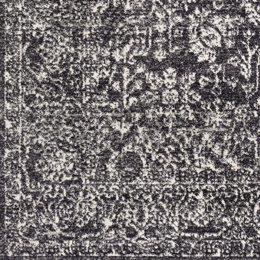 Surya Harput HAP-1028 2'7" x 7'3" Rug
