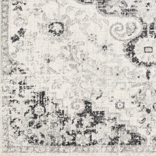 Surya Harput HAP-1061 2'7" x 7'3" Rug