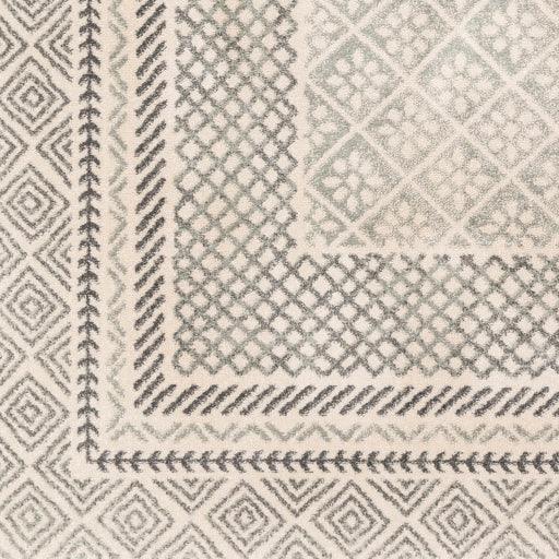 Surya Harput HAP-1088 2'7" x 7'3" Rug