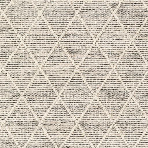 Surya Hemingway HMG-2302 2' x 5' Rug