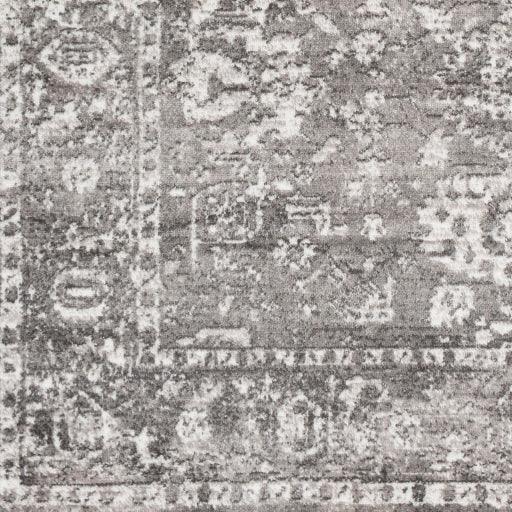 Surya Monte Carlo MNC-2311 2'7" x 7'3" Rug