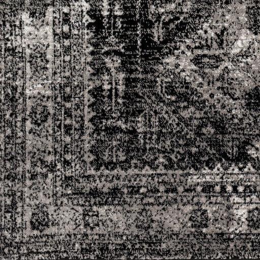 Surya Monte Carlo MNC-2340 2'7" x 7'3" Rug