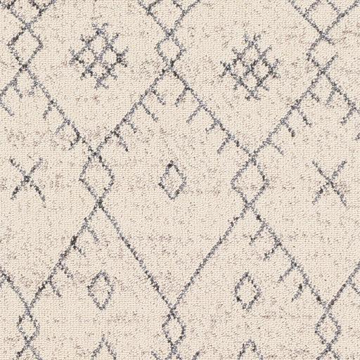 Surya Restoration REO-2309 9' x 12'2" Rug