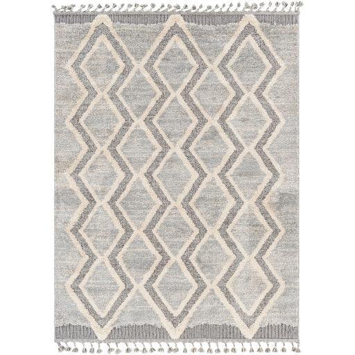 Surya Sousse SUS-2301 2'10" x 10' Rug