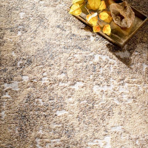 Surya Tuscany TUS-2304 7'10" x 10'3" Rug