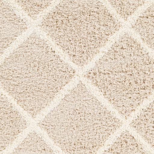 Surya Urban Shag USG-2319 5'3" x 7'3" Rug