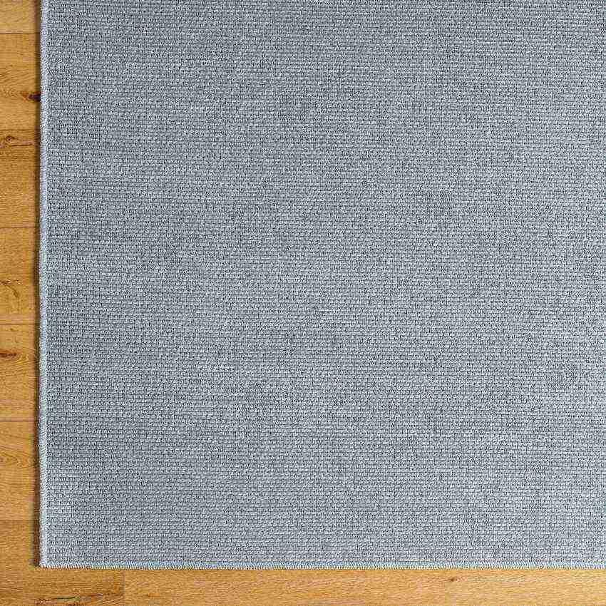 Tobey Solid and Border Light Gray Washable Area Rug