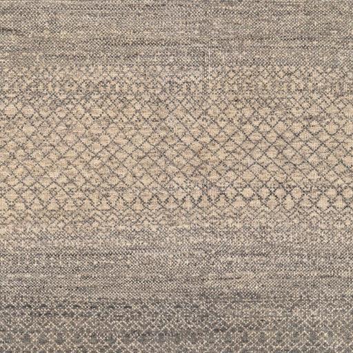 Surya Bethesda BTD-2300 2' x 3' Rug