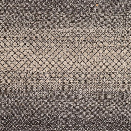 Surya Bethesda BTD-2301 2' x 3' Rug