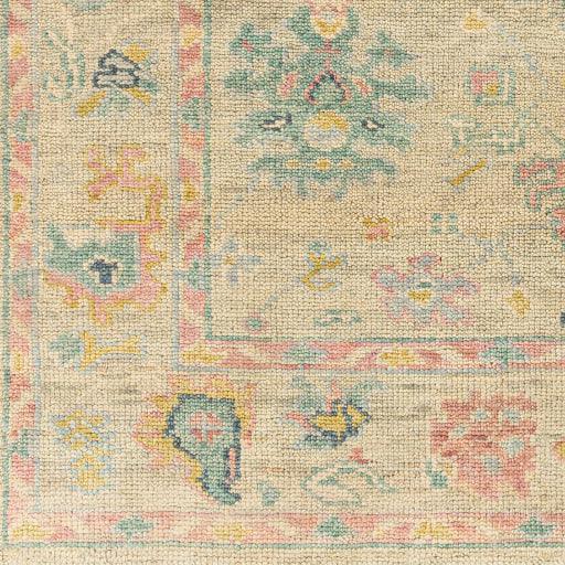 Surya Biscayne BSY-2306 2' x 3' Rug