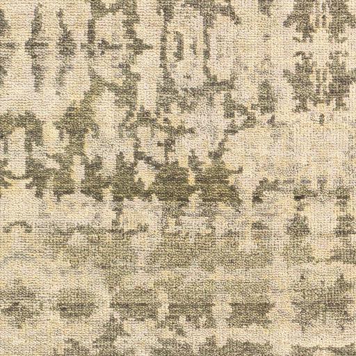 Surya Biscayne BSY-2309 2' x 3' Rug
