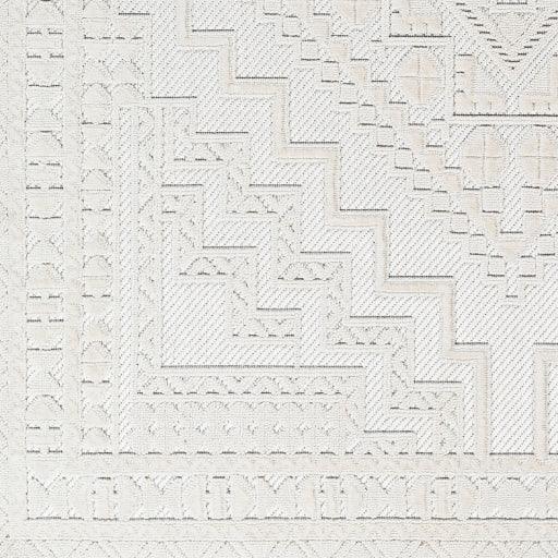 Surya Broadway BWY-2300 7'10" x 10' Rug