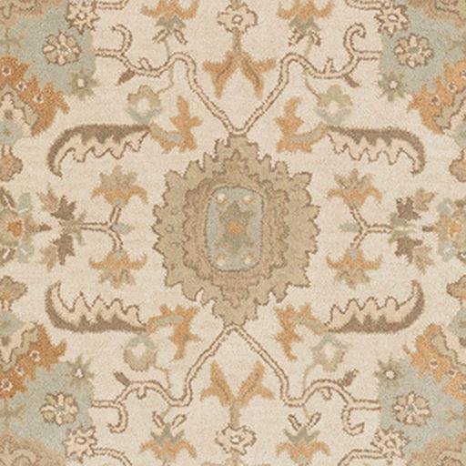 Surya Caesar CAE-1166 6' x 9' Oval Rug