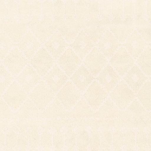 Surya Casa CAA-2300 4' x 6' Rug