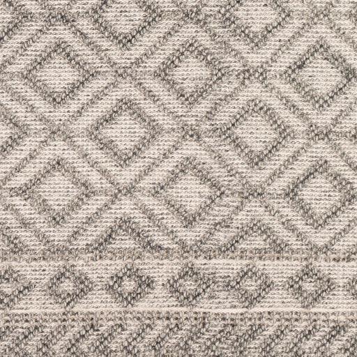 Surya Farmhouse Tassels FTS-2302 2'6" x 8' Rug