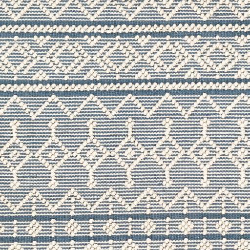 Surya Farmhouse Tassels FTS-2304 2'6" x 8' Rug