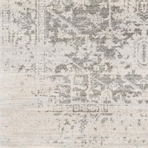 Surya Harput HAP-1024 6'7" x 9' Oval Rug