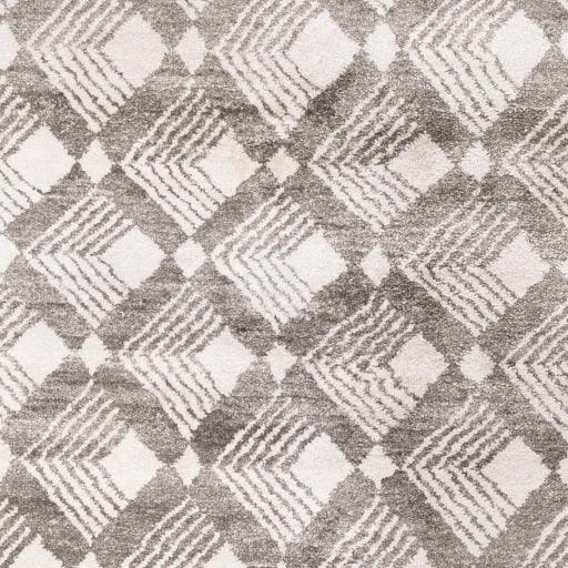 Surya Ludlow LUD-2003 2' x 3' Rug