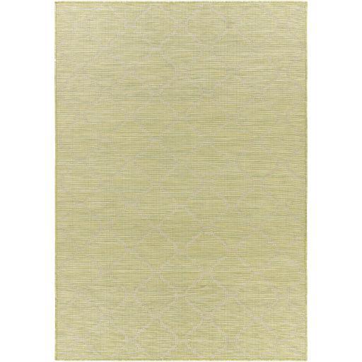Surya Pasadena PSA-2337 2'6" x 7'3" Rug
