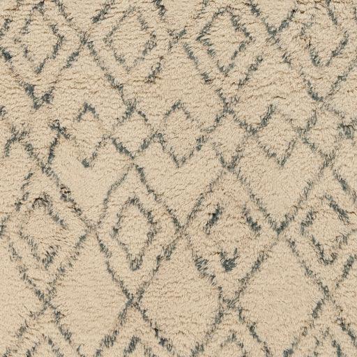 Surya Tasman TAS-4501 2' x 3' Rug
